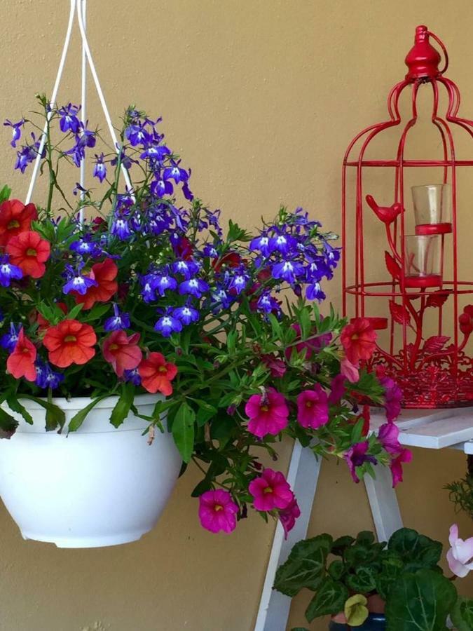 Casa De Ferias Josefa D'Obidos Villa Екстериор снимка